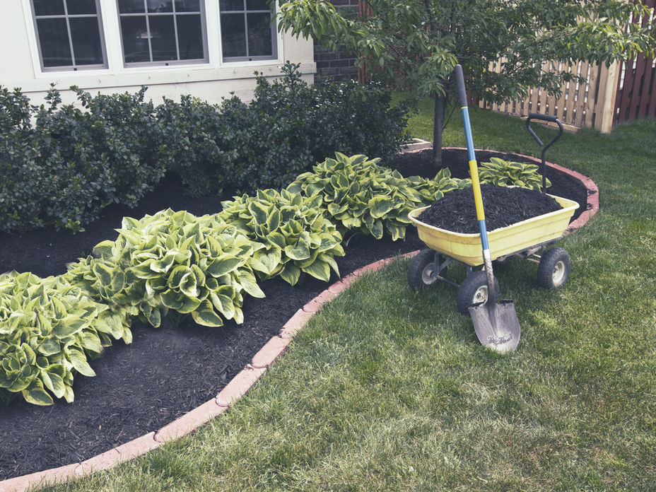 Bahçe kenar düzenlemesi